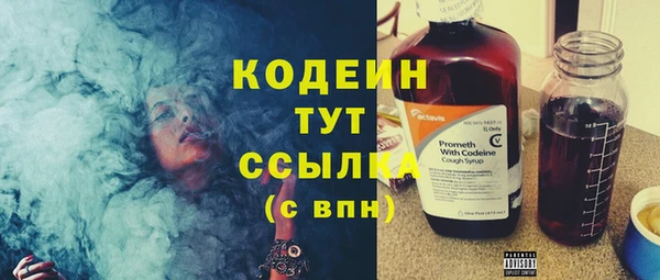 шишки Пересвет