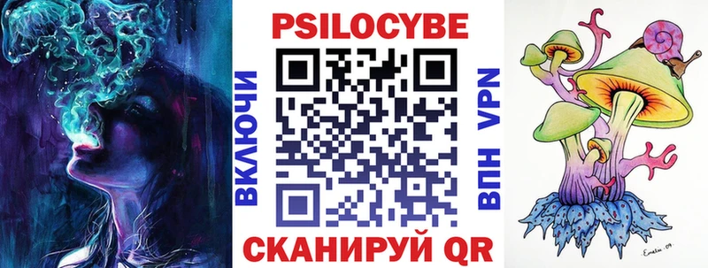 дарнет шоп  Чишмы  Псилоцибиновые грибы GOLDEN TEACHER 